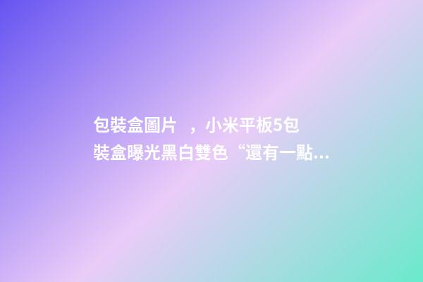 包裝盒圖片，小米平板5包裝盒曝光黑白雙色“還有一點驚喜”-第1張-觀點-玄機派